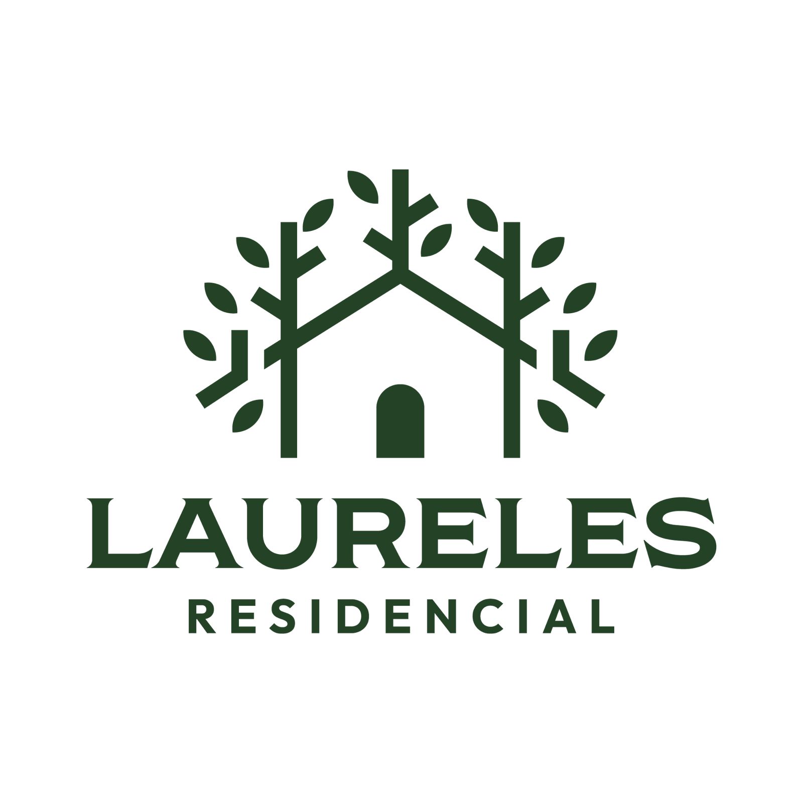 Fraccionamiento Los Laureles